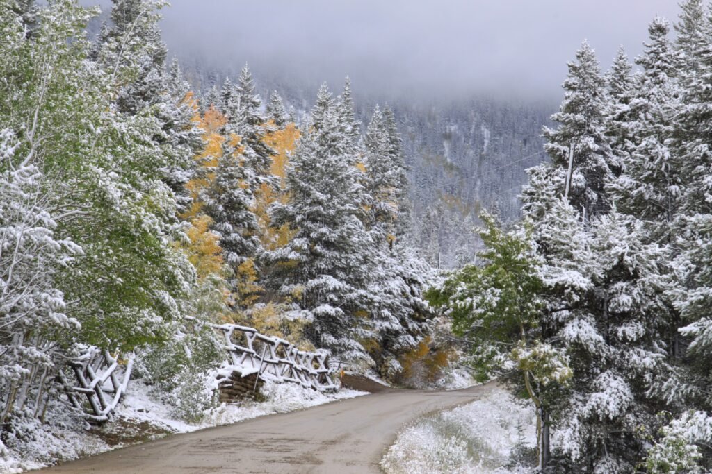 Light snow in early spring in the Colorado Mountains